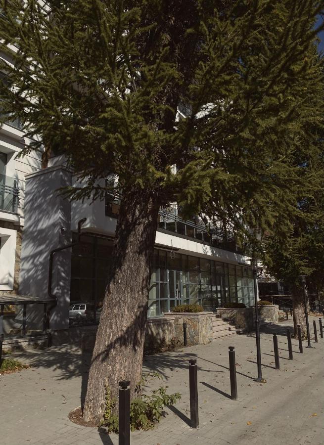Kuban Апартаменти Yaremche Exterior photo